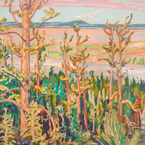 Jack Pine by Alexander Young Jackson