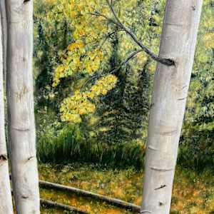 Aspen in the Fall by Connie Sloma Artist 