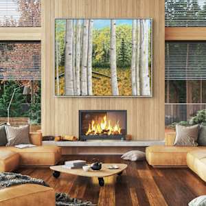 Aspen in the Fall by Connie Sloma Artist 