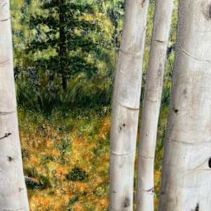 Aspen in the Fall by Connie Sloma Artist 