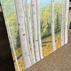 Aspen in the Fall by Connie Sloma Artist 