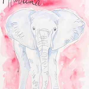 Elephant Alabama by Amy DeVane