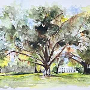 Cook Venue by Amy DeVane
