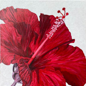 Essence of Red by Cathy Cordry
