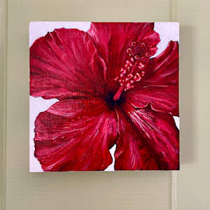 Dreaming in Red by Cathy Cordry 