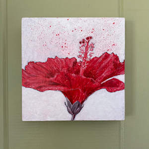 Red Flight by Cathy Cordry 
