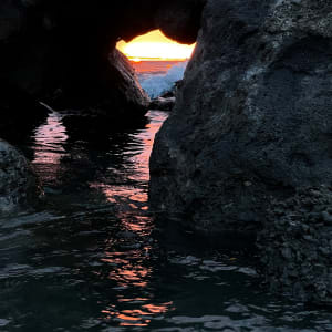 Path to the Sun by Barbara Schaefer