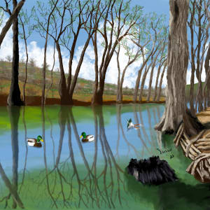 Medina River 2 by Susan Reich