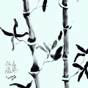 Bamboo by Susan Reich