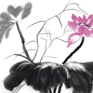 Chinese Lotus by Susan Reich