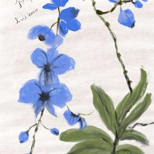 Chinese Orchids by Susan Reich