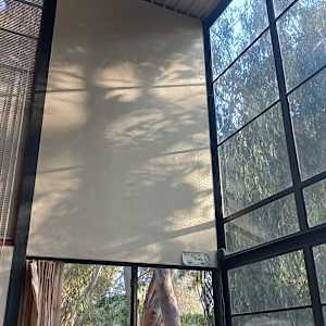 Sunlight Filtered Through The Eames House by James Clar 