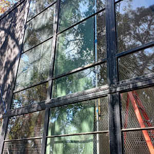 Sunlight Filtered Through The Eames House by James Clar 