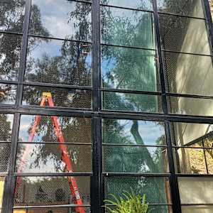 Sunlight Filtered Through The Eames House by James Clar 