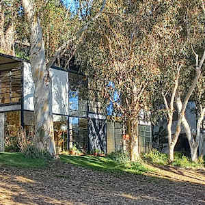 Sunlight Filtered Through The Eames House by James Clar 