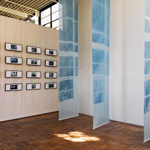 Sunlight Filtered Through The Eames House by James Clar, Image 5.