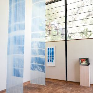 Sunlight Filtered Through The Eames House by James Clar, Image 4.