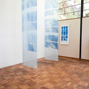 Sunlight Filtered Through The Eames House by James Clar, Image 6.