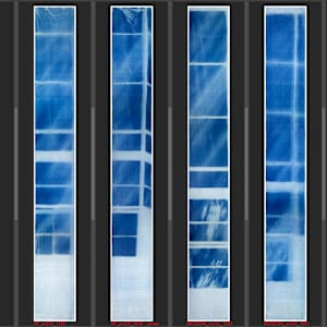 Sunlight Filtered Through The Eames House by James Clar 