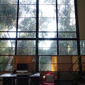 Sunlight Filtered Through The Eames House by James Clar 