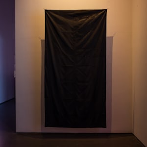 AMERICA (US flag) by James Clar, Image 3.