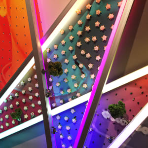 Momochi by James Clar 