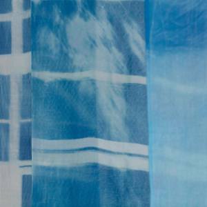 Sunlight Filtered Through The Eames House by James Clar 