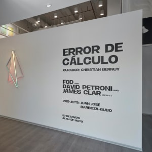 The Path Traveled by James Clar  Image: Installation shot from "Error de Calculo", Galeria Impakto, Peru, 2019