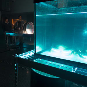 The New Sublime by James Clar