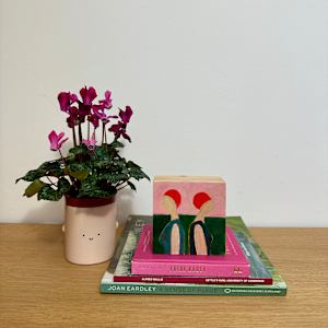 In the Pink by Chrissie Richards
