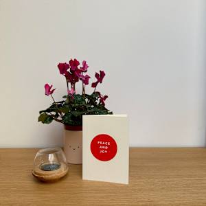 Christmas Cards by Chrissie Richards 