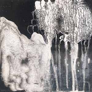 Nocturnal phenomena #3 by Margret Trimborn