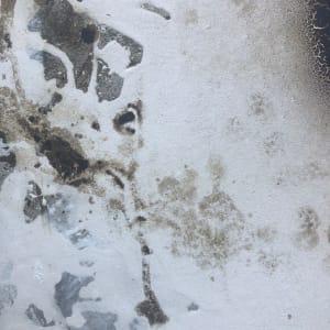 No Title by Margret Trimborn  Image: Details