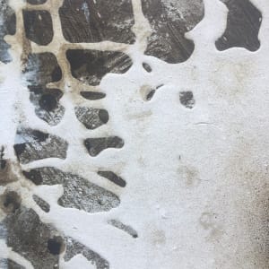 No Title by Margret Trimborn  Image: Details