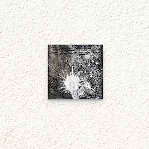 Nocturnal phenomena #1 by Margret Trimborn 