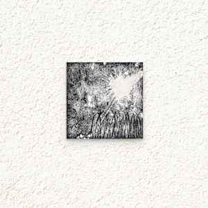 Nocturnal phenomena #2 by Margret Trimborn 