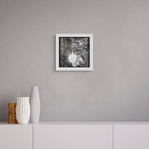 Nocturnal phenomena #1 by Margret Trimborn  Image: Framing options 