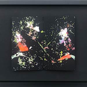 Opening the book of life by Margret Trimborn