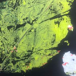Spring-Awakening #1 by Margret Trimborn  Image: Details