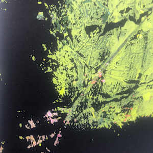 Spring-Awakening #1 by Margret Trimborn  Image: Details