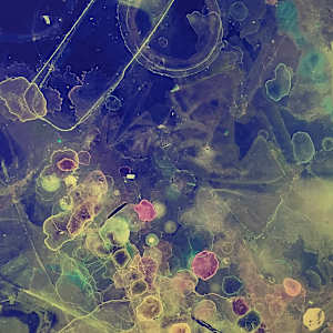 Accretion 3 by Charlie Milgrim