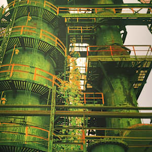 Lush Temple by Charlie Milgrim