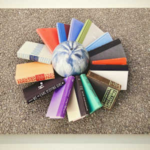 Mystery Nest (18"x24" panel) by Charlie Milgrim