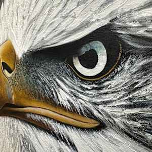 The Pacific Watchman by Donna Richardson 