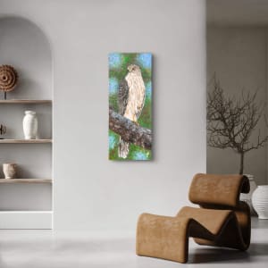 Perched Majesty: Cooper's Hawk by Donna Richardson 