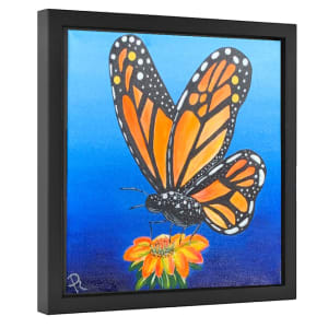 Monarch Butterfly by Donna Richardson 