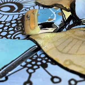 Ethereal by Anne Burtt, Image 5.