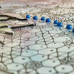 Subtidal Tapestry by Anne Burtt  Image: Subtidal Tapestry Close Up