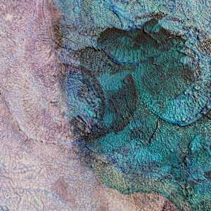 Untitled by Maia Heidel 