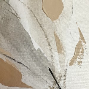 Softly by Emily Anne Newman 